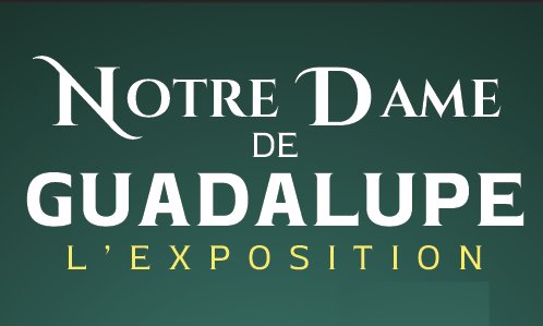241130_ndguadalupe_00